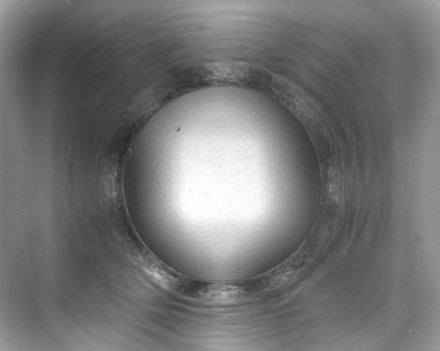 X0000075820514200609291414