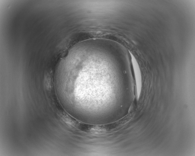 X0000075820515200609291414