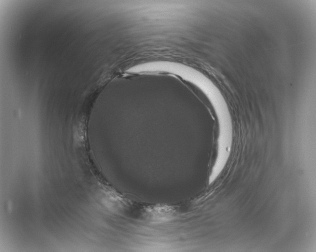 X0000075820517200609291414