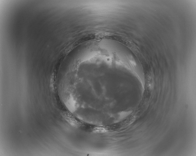 X0000075820519200609291414