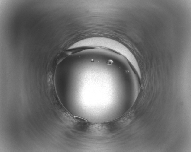 X0000075820521200609291414