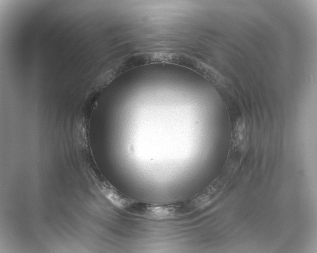 X0000075820522200609291414