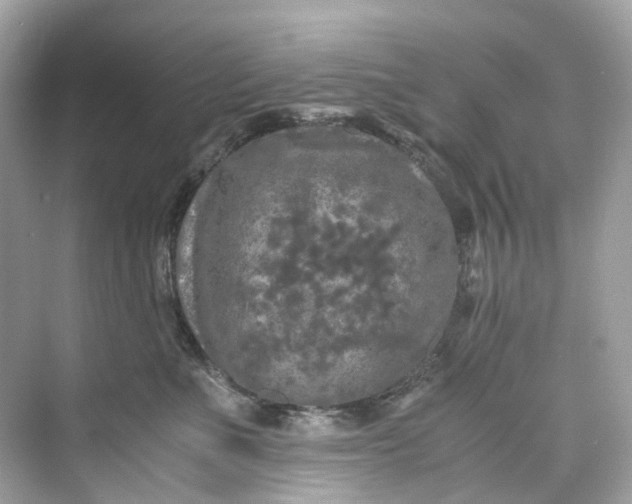 X0000075820523200609291414