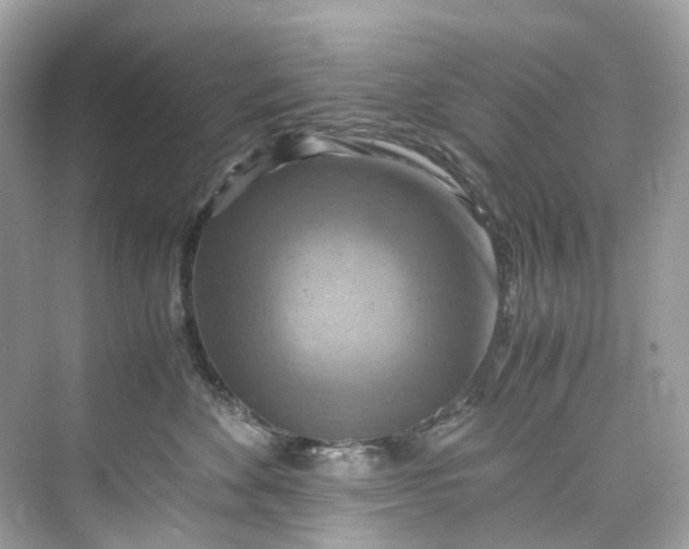 X0000075820524200609291414