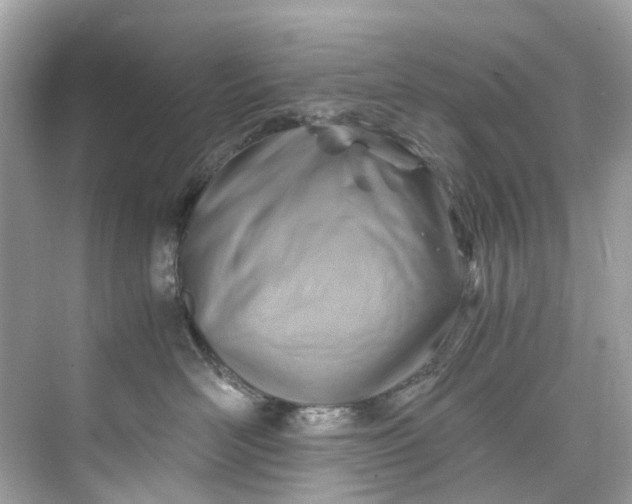 X0000075820526200609291414