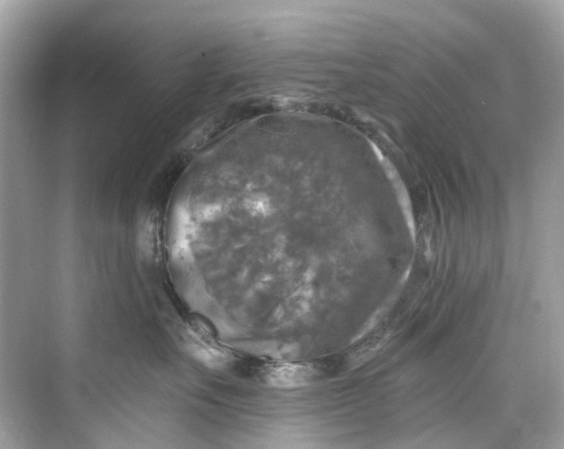 X0000075820527200609291414