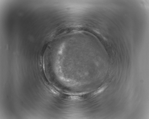 X0000075820528200609291414