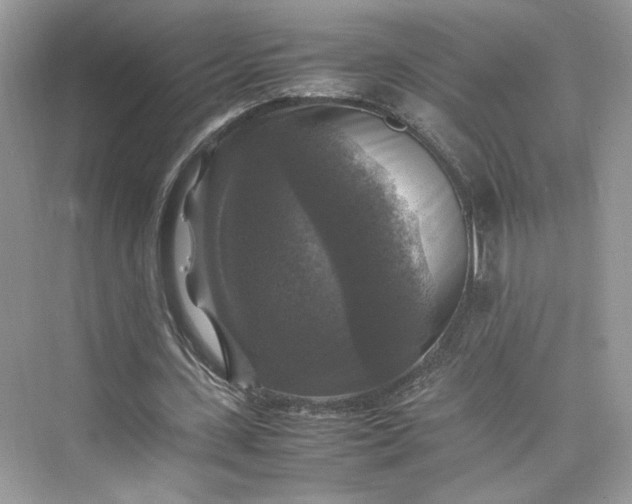 X0000075820531200609291413