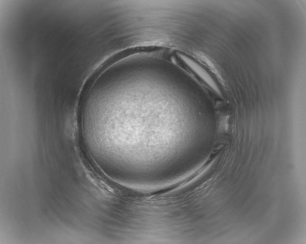 X0000075820532200609291413