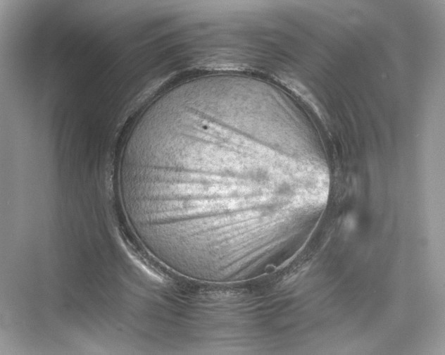 X0000075820533200609291413