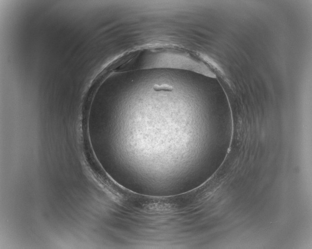 X0000075820535200609291413