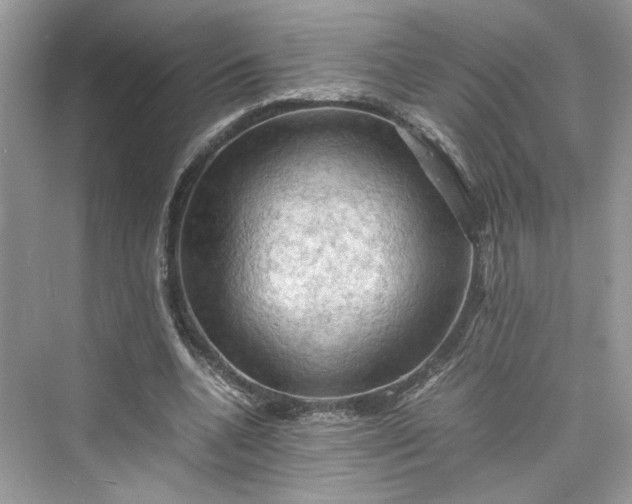 X0000075820536200609291413