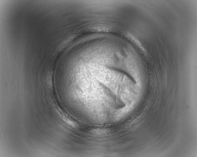 X0000075820537200609291413