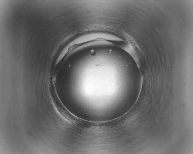 X0000075820538200609291413