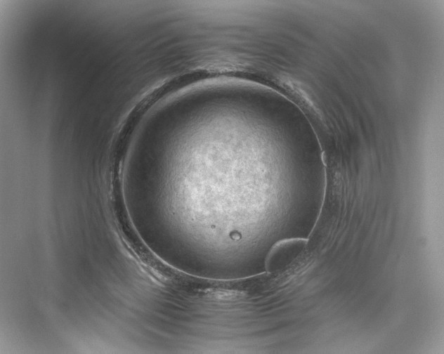 X0000075820539200609291413