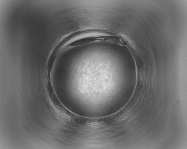 X0000075820540200609291413