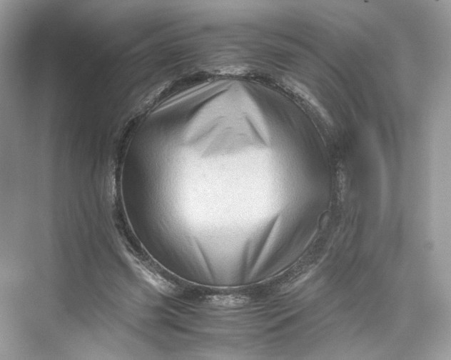 X0000075820541200609291413