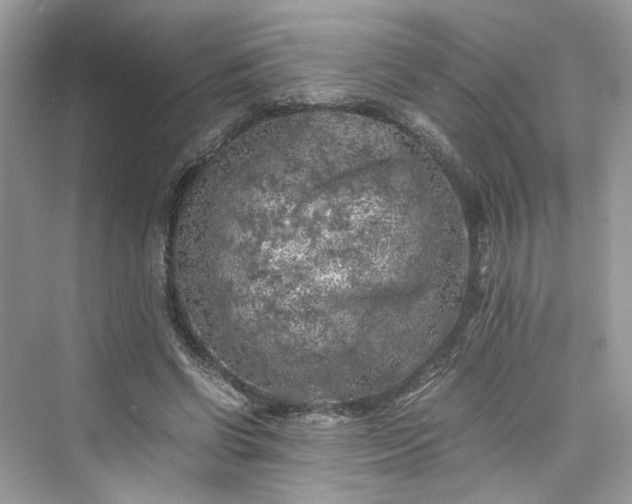 X0000075820542200609291413