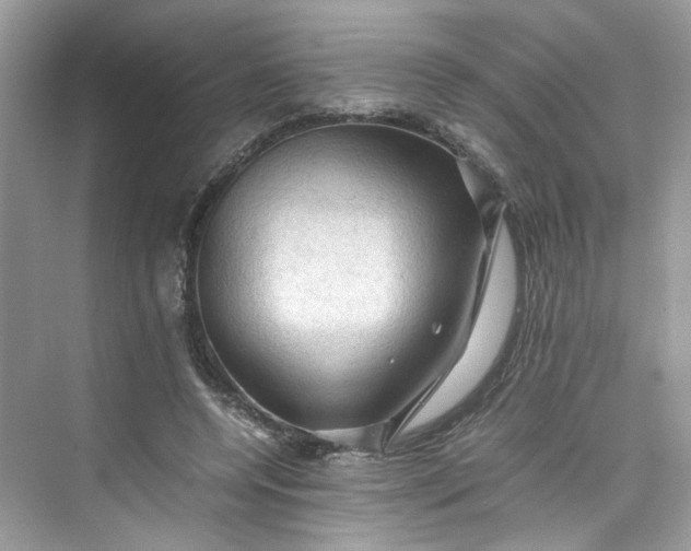 X0000075820544200609291413