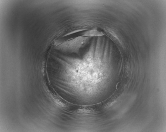 X0000075820545200609291413