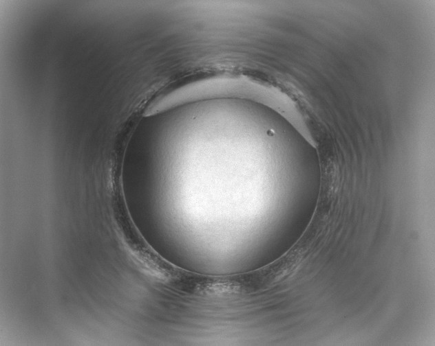 X0000075820546200609291413