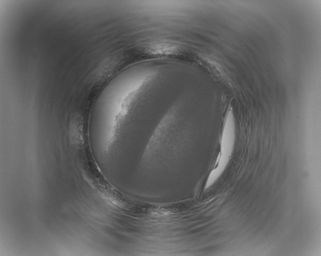 X0000075820547200609291413