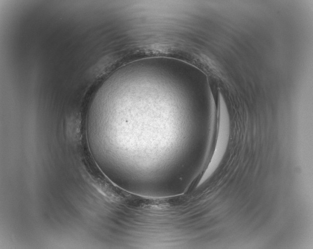 X0000075820548200609291413