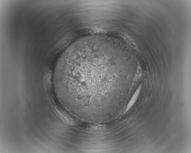 X0000075820550200609291414