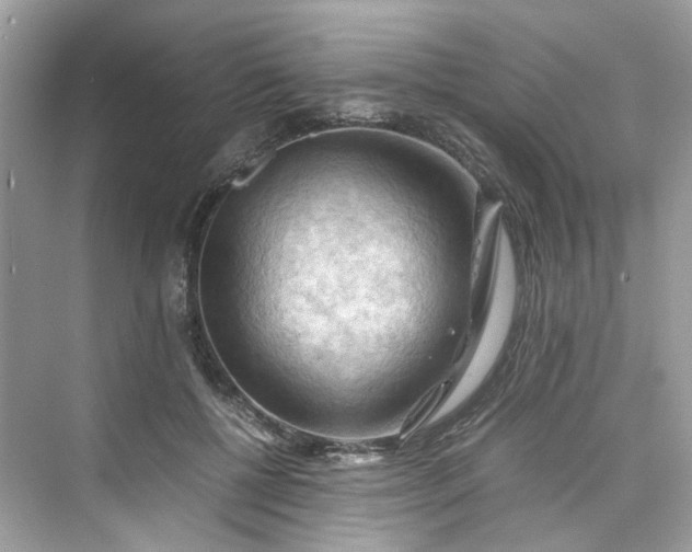 X0000075820552200609291414