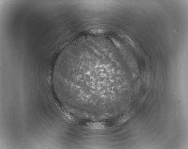 X0000075820553200609291414