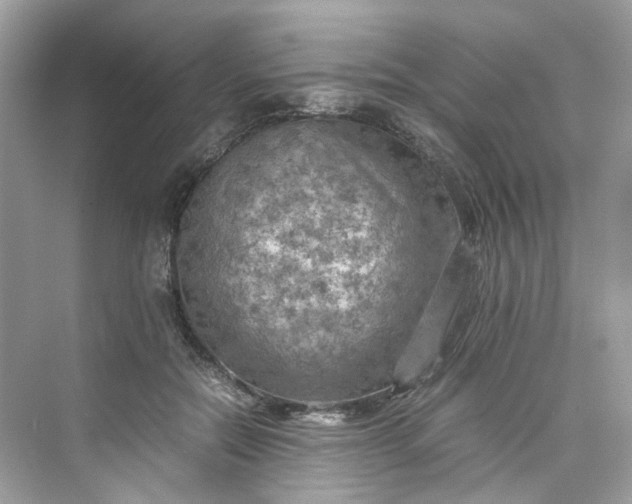 X0000075820554200609291414