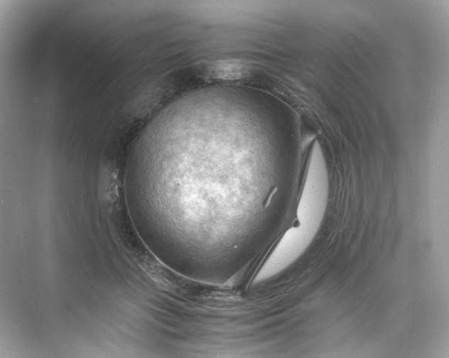 X0000075820555200609291414