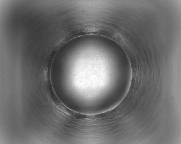 X0000075820556200609291414