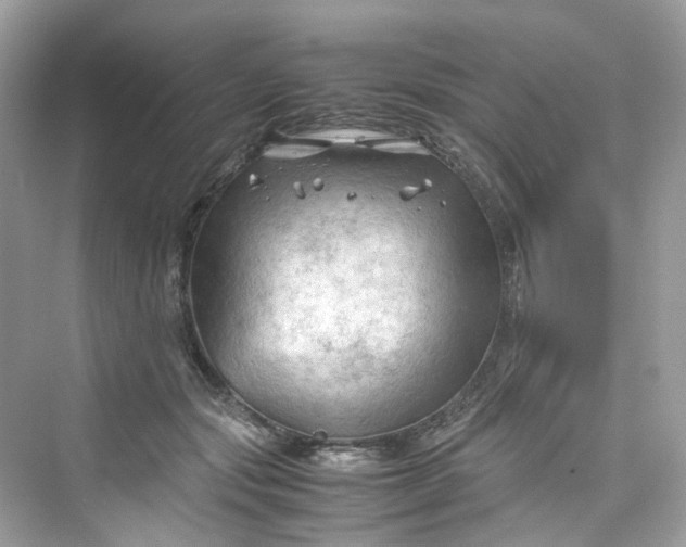 X0000075820557200609291414