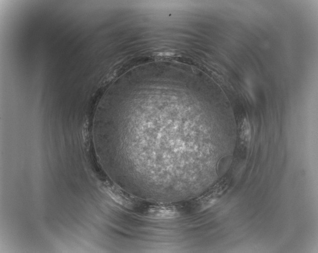 X0000075820559200609291414