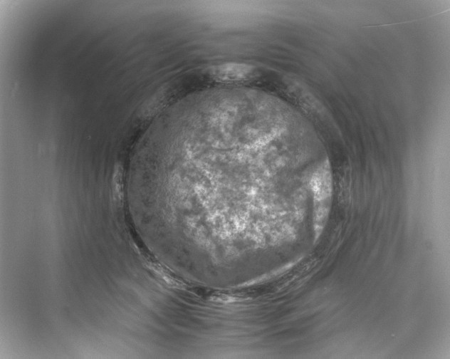 X0000075820561200609291414