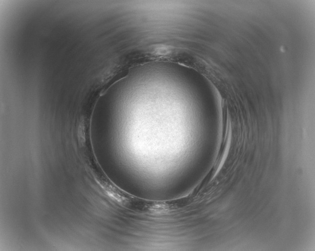 X0000075820562200609291414