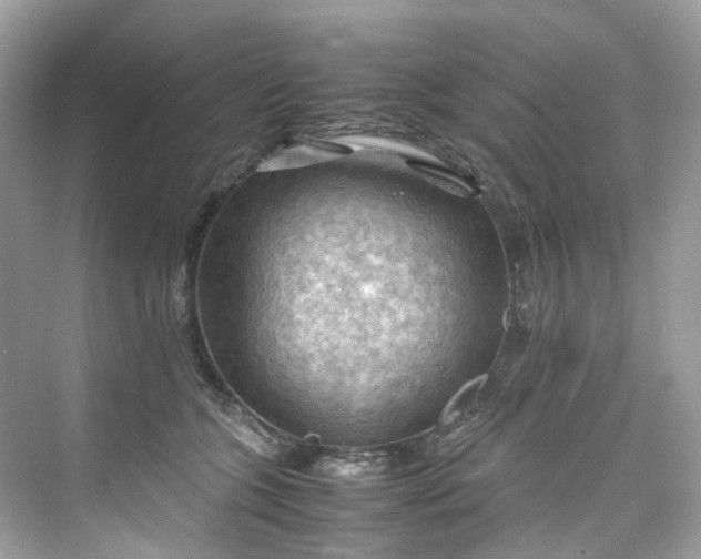 X0000075820563200609291414