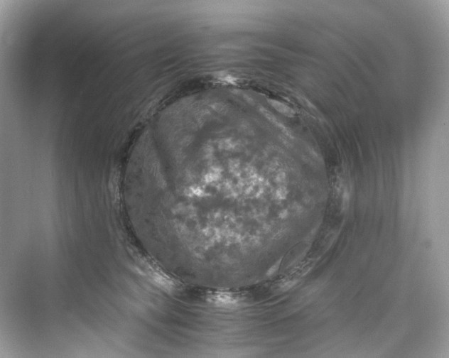 X0000075820565200609291414