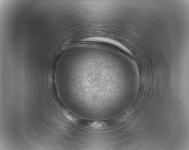 X0000075820566200609291414