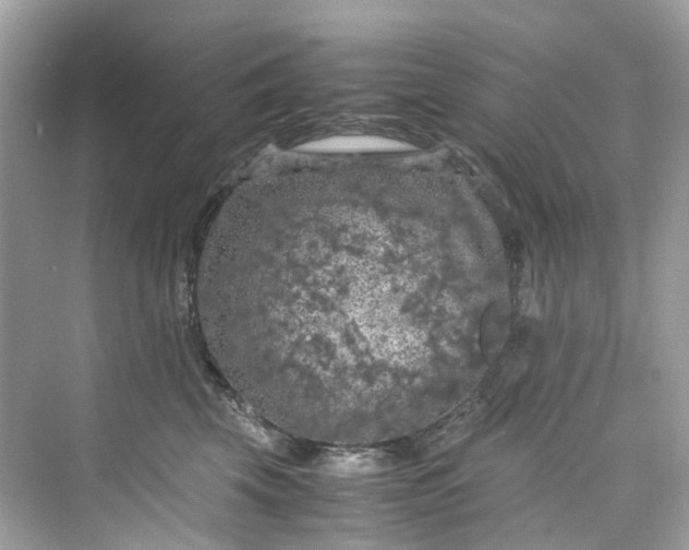 X0000075820569200609291414