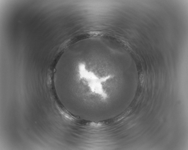 X0000075820570200609291414