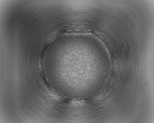 X0000075820571200609291414