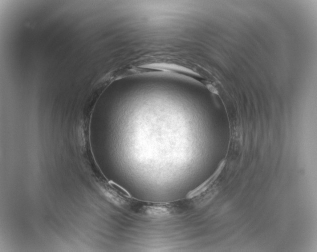 X0000075820572200609291414