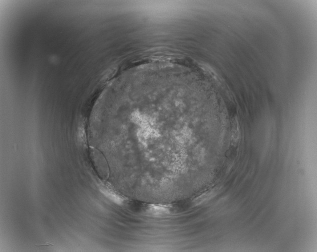 X0000075820573200609291414