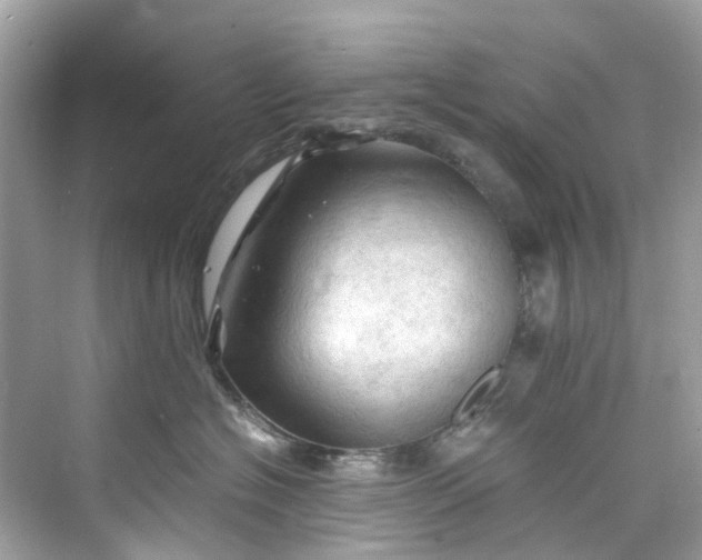 X0000075820574200609291414