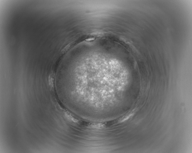 X0000075820576200609291414