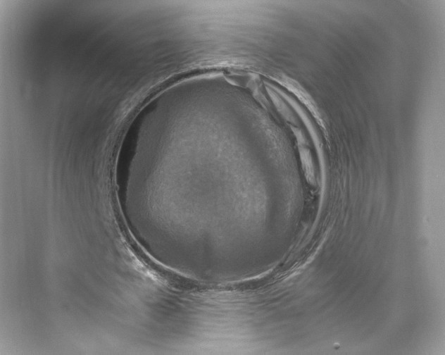 X0000075820577200609291413