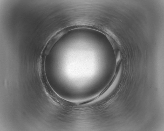 X0000075820580200609291413