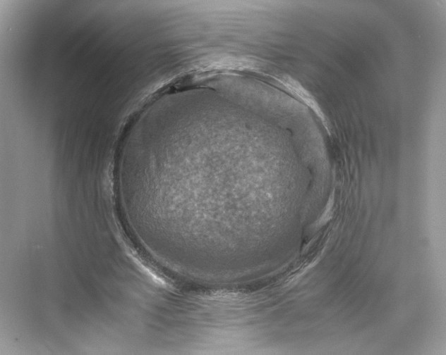 X0000075820581200609291413